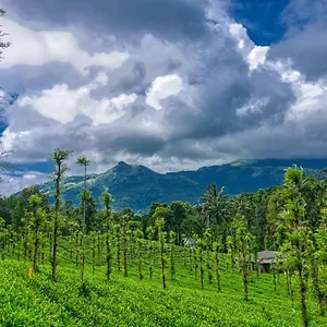 Ende Wayanad 3* Koroth