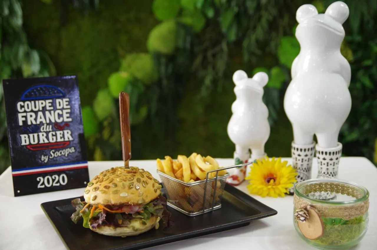 Hotel Saphir Lyon